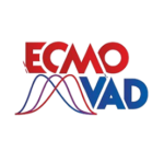Logo_ecmovad__1_-removebg-preview-300x268-removebg-preview-150x150